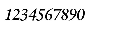 SabonNext LT Display Italic Alternate Font, Number Fonts