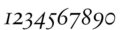 SabonNext LT Display Italic Old Style Figures Font, Number Fonts