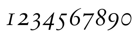 SabonNext LT Display Italic Small Caps Font, Number Fonts