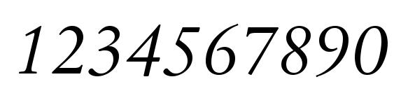 SabonNext LT Display Italic Font, Number Fonts