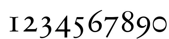 SabonNext LT Display Small Caps Font, Number Fonts