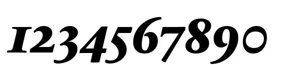 SabonNext LT Extra Bold Italic Old Style Figures Font, Number Fonts