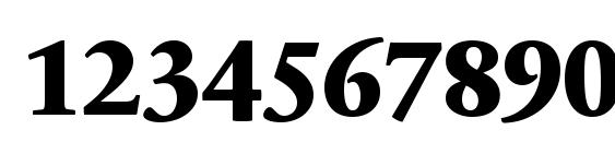 SabonNext LT Extra Bold Font, Number Fonts