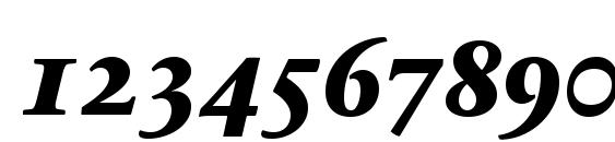 SabonNext LT ExtraBold Italic Small Caps Font, Number Fonts