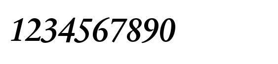 SabonNext LT Italic Alternate Font, Number Fonts