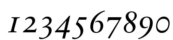 SabonNext LT Italic Small Caps Font, Number Fonts