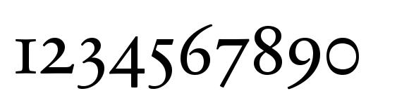 SabonNext LT Regular Old Style Figures Font, Number Fonts