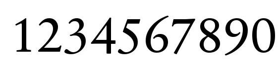 SabonNext LT Regular Font, Number Fonts