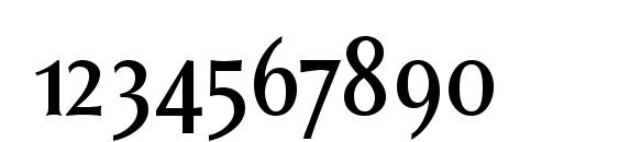 Saga SmallCaps Font, Number Fonts