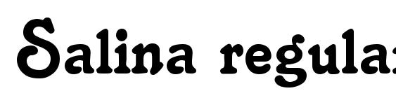 Salina regular font, free Salina regular font, preview Salina regular font