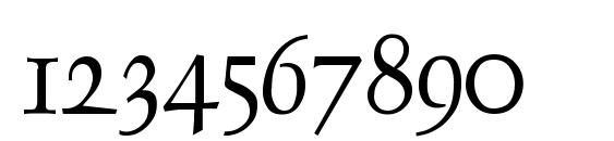 Sallmon Normal Font, Number Fonts