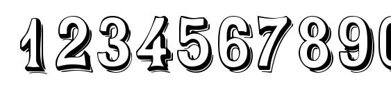 Saloondisplaycapsssk Font, Number Fonts