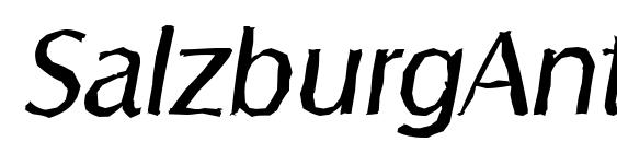 шрифт SalzburgAntique Italic, бесплатный шрифт SalzburgAntique Italic, предварительный просмотр шрифта SalzburgAntique Italic