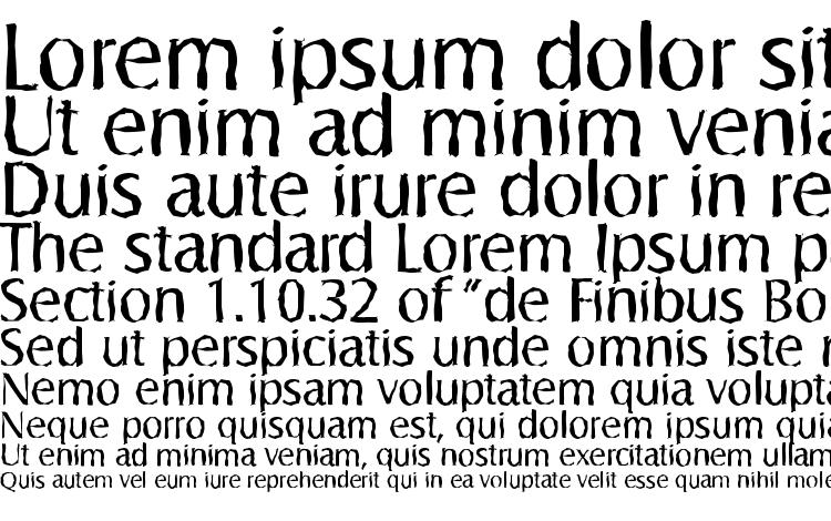 specimens SalzburgRandom Regular font, sample SalzburgRandom Regular font, an example of writing SalzburgRandom Regular font, review SalzburgRandom Regular font, preview SalzburgRandom Regular font, SalzburgRandom Regular font