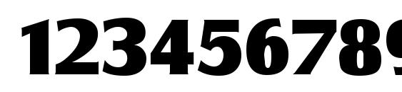 SalzburgSerial Heavy Regular Font, Number Fonts