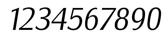 SalzburgSerial Light Italic Font, Number Fonts