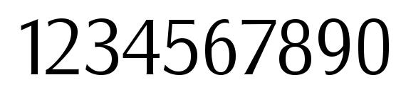 SalzburgSerial Light Regular Font, Number Fonts