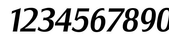 SalzburgSerial Medium Italic Font, Number Fonts