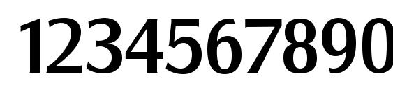 SalzburgSerial Medium Regular Font, Number Fonts