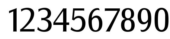 SalzburgSerial Regular Font, Number Fonts
