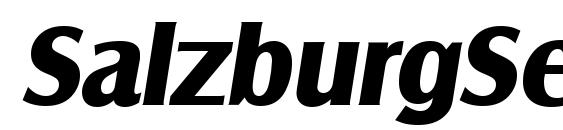 Шрифт SalzburgSerial Xbold Italic