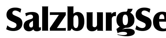 SalzburgSerial Xbold Regular font, free SalzburgSerial Xbold Regular font, preview SalzburgSerial Xbold Regular font