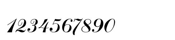 Sanasoft Art Script.kz Font, Number Fonts