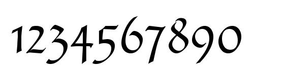 Sanasoft Gothic.kz Font, Number Fonts