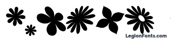 Sarus flower ding (srb) Font
