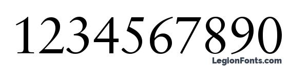 Savoy Regular Font, Number Fonts