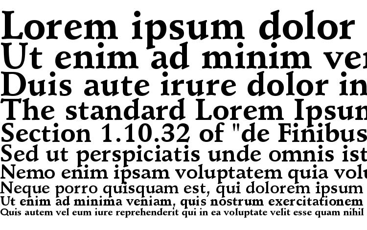 specimens Schneidler Bold BT font, sample Schneidler Bold BT font, an example of writing Schneidler Bold BT font, review Schneidler Bold BT font, preview Schneidler Bold BT font, Schneidler Bold BT font