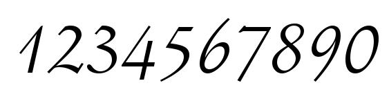 Schneidler Italic BT Font, Number Fonts