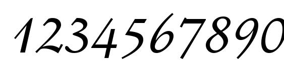 Schneidler Medium Italic BT Font, Number Fonts