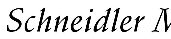 Schneidler Medium Italic BT Font