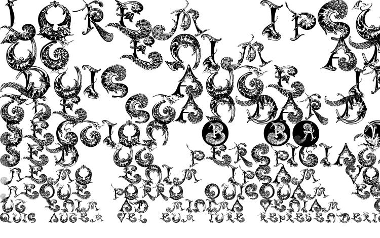 specimens Schnoerkelcaps font, sample Schnoerkelcaps font, an example of writing Schnoerkelcaps font, review Schnoerkelcaps font, preview Schnoerkelcaps font, Schnoerkelcaps font