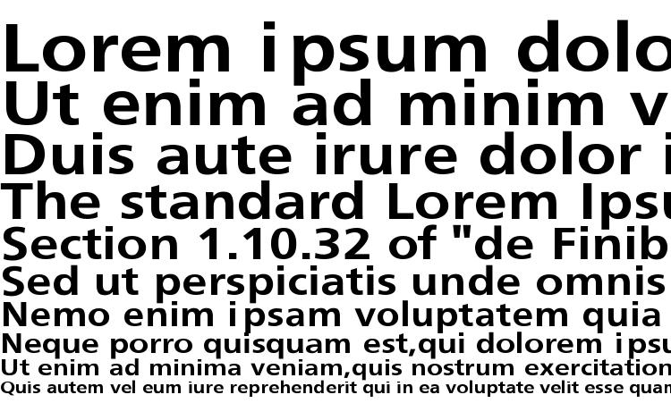 specimens SchranerExt Bol font, sample SchranerExt Bol font, an example of writing SchranerExt Bol font, review SchranerExt Bol font, preview SchranerExt Bol font, SchranerExt Bol font