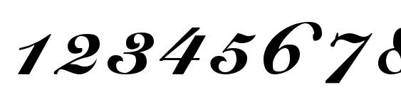 Script Roundhand Normal Font, Number Fonts