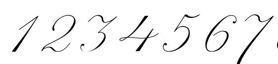 Шрифт Script Thin Pen, Шрифты для цифр и чисел