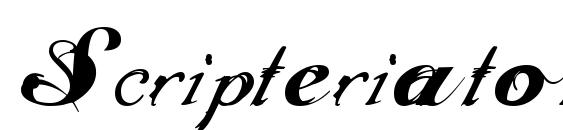 шрифт Scripteriatoid, бесплатный шрифт Scripteriatoid, предварительный просмотр шрифта Scripteriatoid