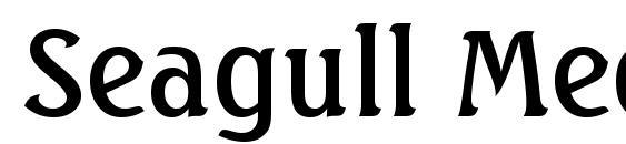 Seagull Medium BT font, free Seagull Medium BT font, preview Seagull Medium BT font