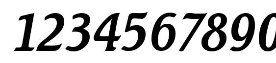 Seagull Serial RegularItalic DB Font, Number Fonts