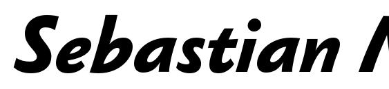 Sebastian Medium Pro Bold Italic Font