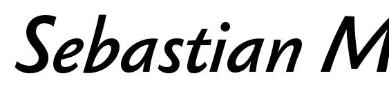 Sebastian Medium Pro Italic Font