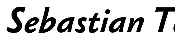 Sebastian Text Pro Bold Italic Font