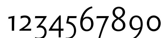 SebastianLight Font, Number Fonts