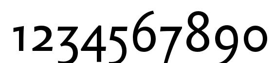 SebastianText Font, Number Fonts