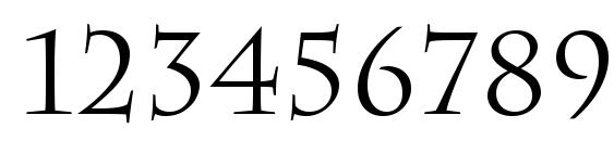 Senatus SSi Font, Number Fonts