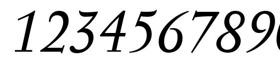 Serapion Pro Italic Font, Number Fonts