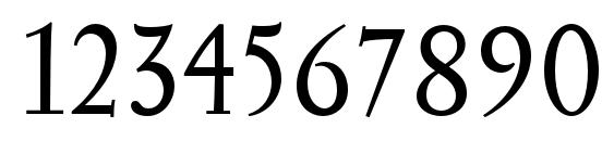 Serapion Font, Number Fonts