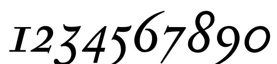 SerapionII Italic Font, Number Fonts